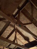 IMG_3171.jpg