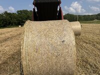 IMG_1803.jpeg