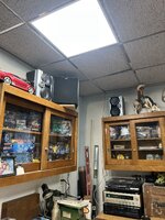 IMG_3339.jpeg