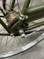 IMG_5950.jpeg