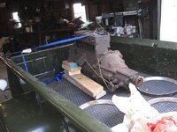 IMG_8029.jpg