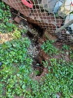 20240731_080749.jpg 20240731_080749.jpg