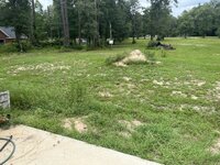 IMG_1376.jpeg
