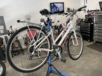 IMG_6016.jpeg
