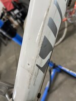 IMG_6021.jpeg