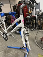 IMG_6029.jpeg
