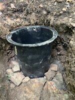 IMG_3405.jpeg