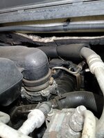 IMG_20240806_090714.jpg