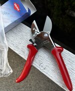 IMG_7257.jpeg