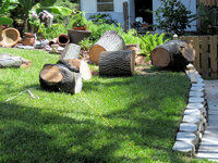 2011 Chainsaw Massacre 2.jpg