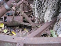 IMG_0523.jpg