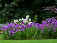 unnamed-4.jpg
