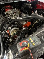 IMG_3443.jpeg IMG_3443.jpeg