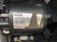 IMG_7103.jpeg