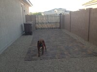 IMG_1413_Original.jpeg IMG_1413_Original.jpeg