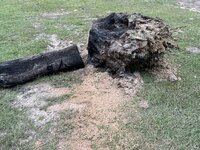 IMG_1434.jpeg