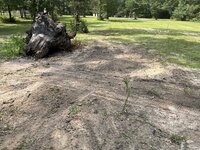 IMG_1429.jpeg