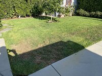 IMG_3809.jpeg