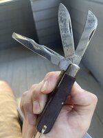IMG_2031.jpeg