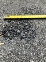 IMG_1151.jpeg