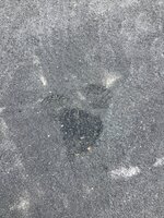 IMG_2179.jpeg