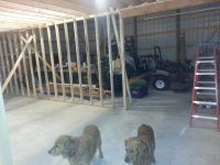 20131030_164931.jpg