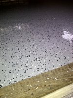 IMG-20130829-00031.jpg