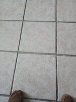 IMG_0232.jpeg