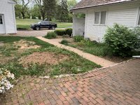 IMG_8087.jpeg