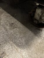 IMG_0960.jpeg