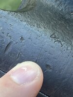 IMG_8446.jpeg