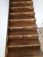IMG_20240807_112229569.jpg