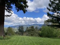 IMG_0880.jpg