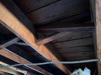 IMG_2429.jpeg