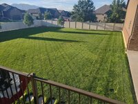 yard10.jpg