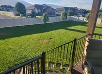 yard11.jpg