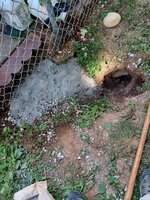 20240815_152734.jpg 20240815_152734.jpg