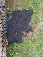 20240815_170343.jpg 20240815_170343.jpg