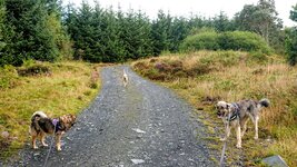 2024-08-20 09.39.36.JPG
