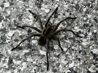 IMG_4114.jpeg IMG_4114.jpeg
