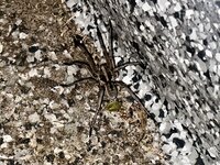 IMG_4118.jpeg