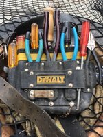 IMG_2622.jpeg