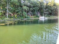 IMG20240822184422.jpg