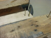 DSC01580.JPG