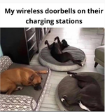 1724546594454.png
