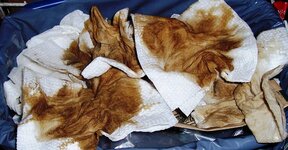 Nicotine-Rags.jpg Nicotine-Rags.jpg