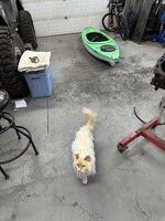 096B00D9-318F-47B5-B159-505BF7AC580E.jpeg