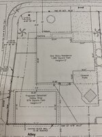 IMG_1304.jpeg