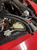 IMG_3665.jpeg IMG_3665.jpeg