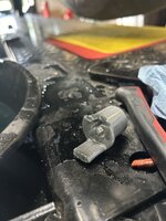IMG_2589.jpeg